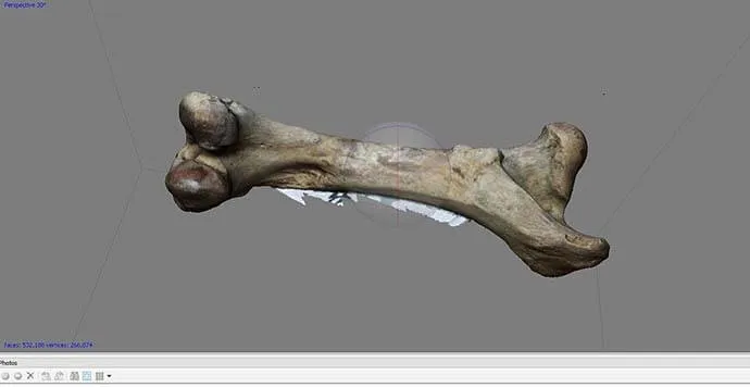 Profesyonel 3D Tarayıcı