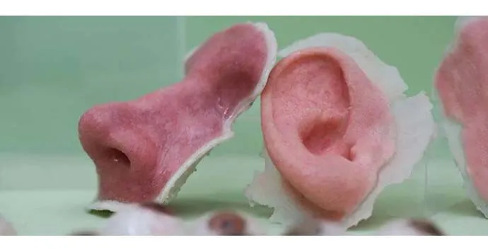 Doku ve Organların 3D Baskısı