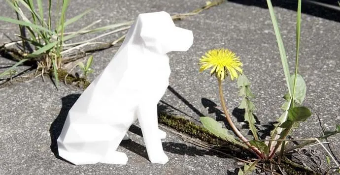 Anycubic i3 Mega ile 3D Baskılar_2