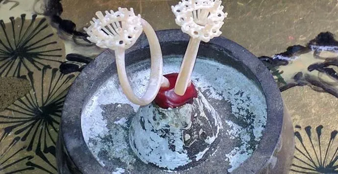 Kayıp Mum Döküm Tekniği