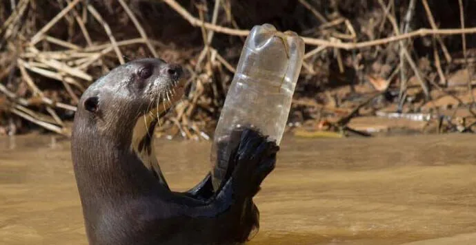PLA Filament Çözünmesi Sürdürülebilir Mi